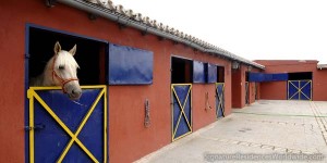 Exceptional hacienda for sale in Seville