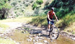 bicycle trips to enjoy the beautiful countryside of Andalucia