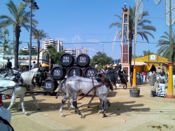 Feria in Jerez de la Frontera with barrels of sherry