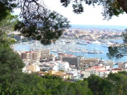 Palma Marina, Mallorca (www.talkyachtspalma.org)