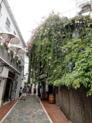 Marbella Old Town - Casco Antiguo