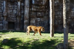 Bioparc Fuengirola