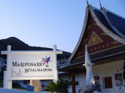 Mariposario de Benalmádena - Butterfly Park