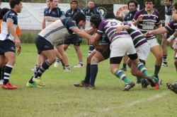 Marbella Rugby Club