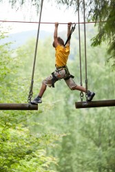 Aventura Amazonia Marbella - Andalusias largest adventure park