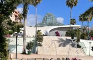 Estepona Orchidarium: A Tropical Jewel on the Costa del Sol